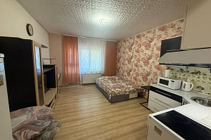 Квартира-студия Воровского 50к2 эт 3