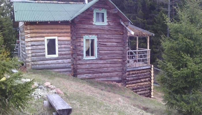 &quot;Алёшина изба&quot; гостевой дом в с. Карпогоры (Новодвинск) - фото 1