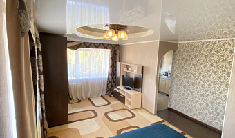 1-комнатная квартира Красноармейский 104 в Барнауле - фото 3