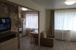 1-комнатная квартира Крупской 3 в Железногорске фото 7