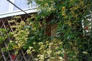 "На Халтурина 4" гостевой дом