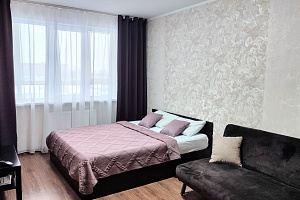 1-комнатная квартира Краснозвёздная 35 в Нижнем Новгороде 3