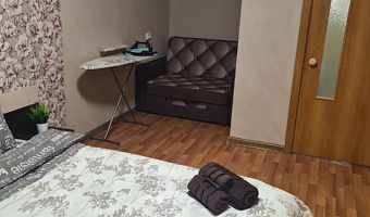 1-комнатная квартира Алексеева 5 в Красноярске - фото 3