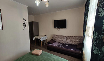 1-комнатная квартира Сосновая 1к3 в Котельниках - фото 5