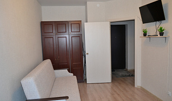 1-комнатная квартира Балтийская 101 в Барнауле - фото 4