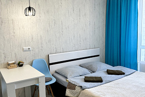 Квартира-студия Пискунова 148/7 эт 8