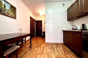 1-комнатная квартира Кабардинская 194 в Нальчике 4