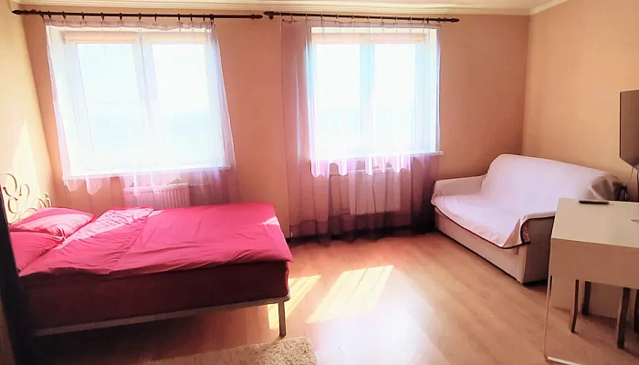 1-комнатная квартира Чкалова 7 в Нахабино - фото 1
