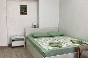 1-комнатная квартира Инал-ипа 5