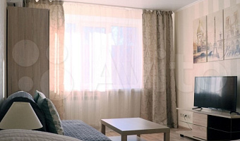 1-комнатная квартира Стара Загора 120 в Самаре - фото 3