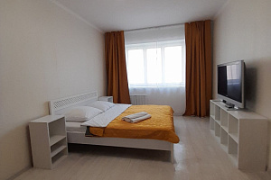 1-комнатная квартира Весны 21