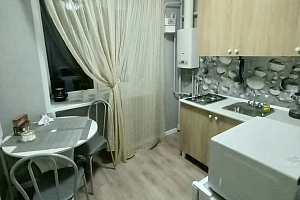 1-комнатная квартира Комсомольская 43 в Кондопоге фото 8