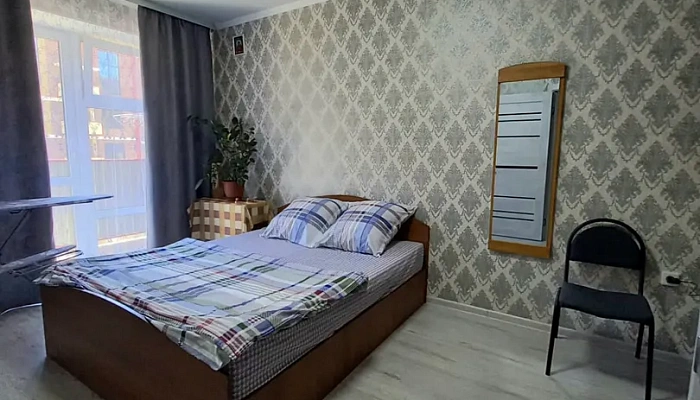 1-комнатная квартира Ишкова 99 в Михайловске - фото 1
