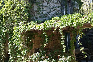 3х-комнатный дом под-ключ Коситского 16