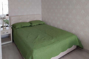 1-комнатная квартира Алабина 10