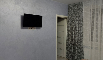 1-комнатная квартира Яблоневая 21 в Светлогорске - фото 3