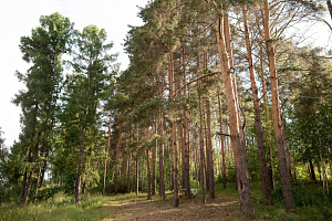 Базы отдыха Казани в лесу, "SOKOLKI Village" в лесу - раннее бронирование