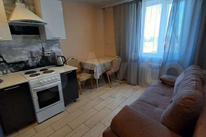 1-комнатная квартира Дыбенко 27/А