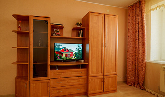 1-комнатная квартира Маршала Конева 29 в Смоленске - фото 5