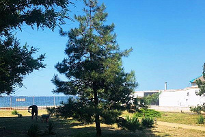 Базы отдыха Голубицкой рядом с пляжем, "Своя волна" рядом с пляжем - забронировать