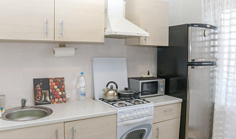 1-комнатная квартира Гайдара 113 в Калининграде - фото 5