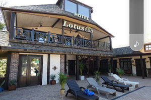 "Lotus" отель, Отели Архипо-Осиповки - отзывы, отзывы отдыхающих