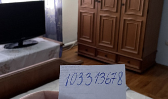 2х-комнатная квартира Пластунская 204 в Сочи - фото 3