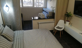 1-комнатная квартира Ясная 28 в Екатеринбурге - фото 5