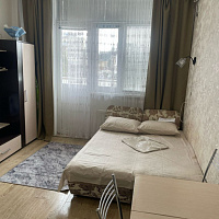 1-комнатная квартира Медовая 86