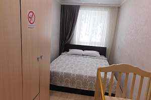 Отели Пятигорска с собственным пляжем, 2х-комнатная Ленина 8 с собственным пляжем - раннее бронирование