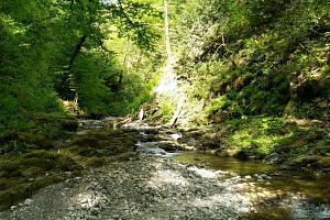 Водопады Сванидзе