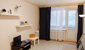 1-комнатная квартира Ватутина 28 в Петрозаводске - фото 4