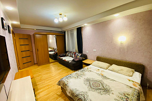 1-комнатная квартира Северный 4