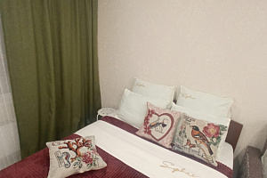 1-комнатная квартира Татьяны Снежиной 42/1 в Новосибирске 2
