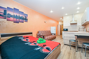 Гостиницы Ногинска с бассейном, квартира-студия Дмитрия Михайлова 12 с бассейном - фото