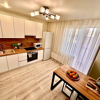 1-комнатная квартира Ленина 227