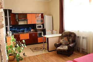 1-комнатная квартира Димитрова 38 в Барнауле фото 5