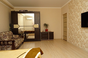 1-комнатная квартира Владимирская 69 в Анапе фото 4