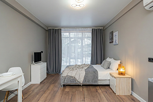 "Уютная у цирка" квартира-студия