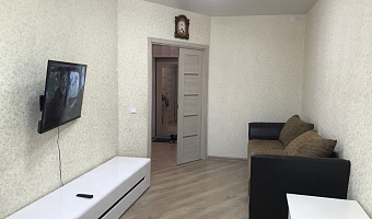 1-комнатная квартира Профсоюзная 43 в Екатеринбурге - фото 5