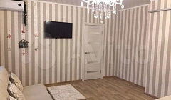 Фото объекта «1-комнатная квартира Чапаевская 48 в Самаре», 3