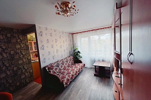 1-комнатная квартира Дзержинского 12 в Медвежьегорске фото 8
