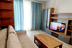 1-комнатная квартира 45-й Стрелковой Дивизии 251