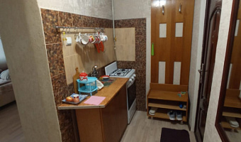 1-комнатная квартира Лермонтова 15 в Кисловодске - фото 4