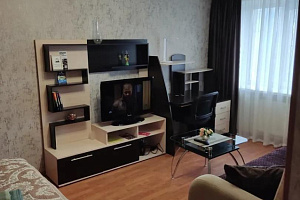 1-комнатная квартира Александра Невского 98 в Мурманске 3
