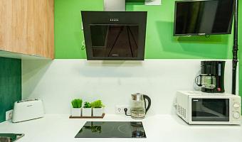 &quot;Riva Apart Green Leaf&quot; квартира-студия в Москве - фото 4