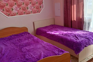Гостиницы Кунгура с бассейном, 2х-комнатная Коммуны 43 с бассейном - фото