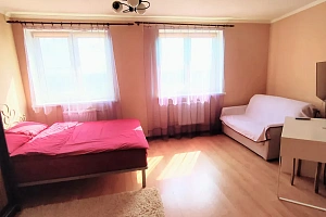 1-комнатная квартира Чкалова 7 в Нахабино фото 9