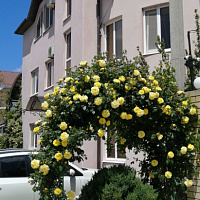 &quot;Розовый Фламинго&quot; мини-гостиница