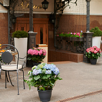 "Де Пари" отель